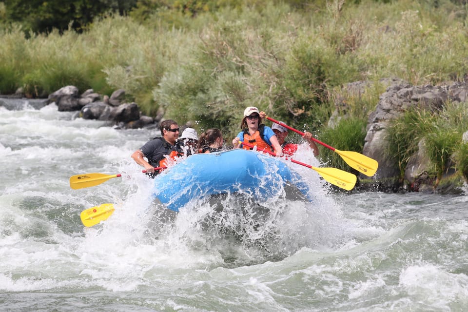 Deschutes River Half Day Trips - Overview of the Activity