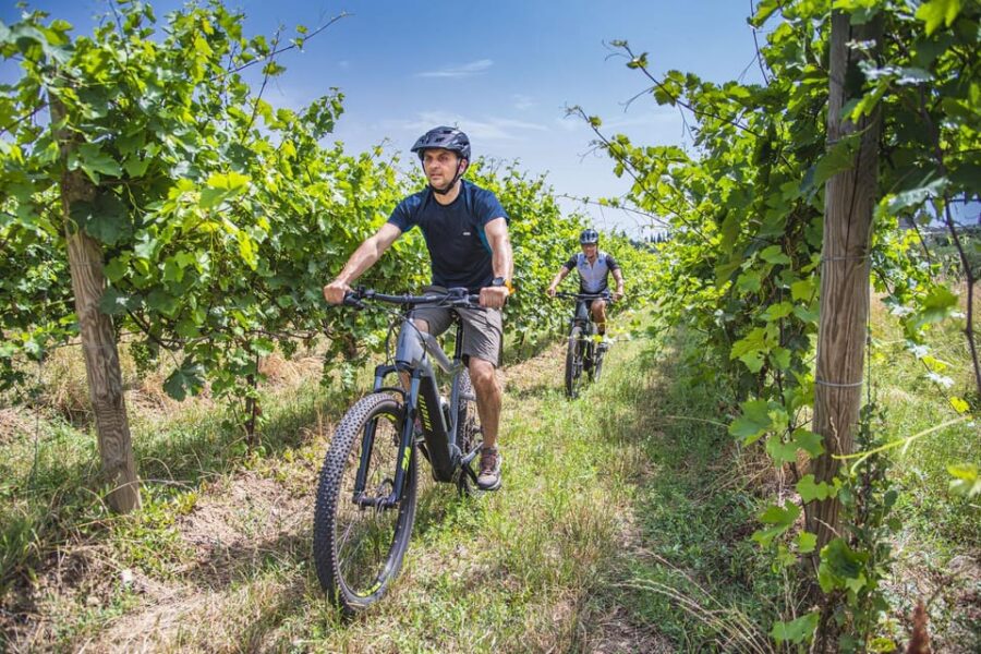 Desenzano: E-bike Tour Valtenesi Castles & Rocca Di Manerba