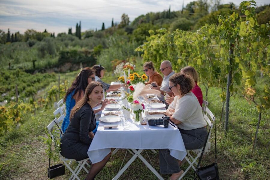 Dinner in the Vineyard French Riviera - Experience Overview