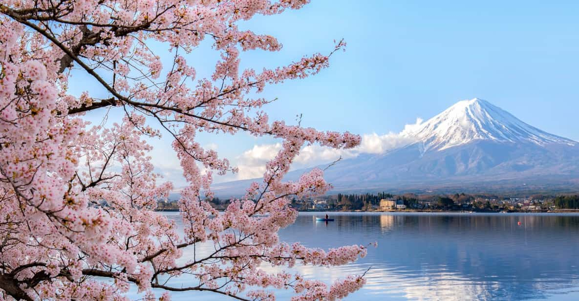 Discover Mount Fuji: Private Car/Van Day Tour From Tokyo - Main Attractions