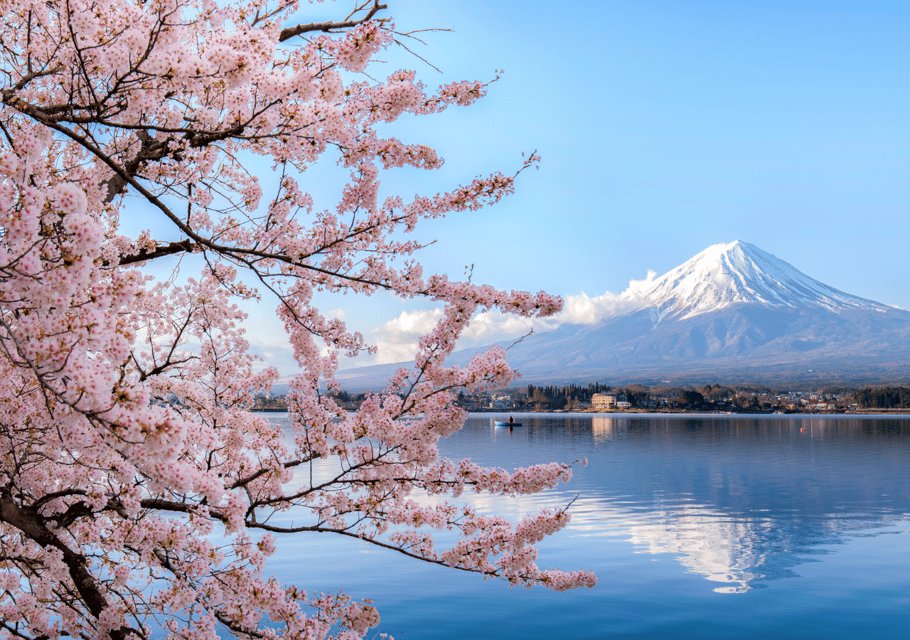 Discover Mount Fuji: Private Car/Van Day Tour From Tokyo - Itinerary Highlights