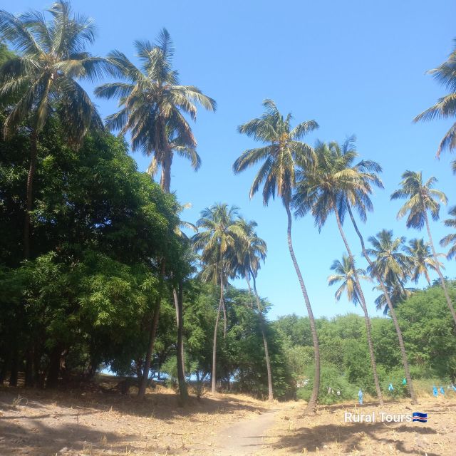 Discover the Black Sand Beach+the Natural Pool - Tour Overview