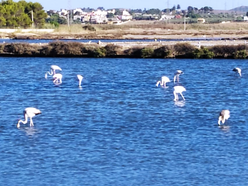 Discover Trapanis Saltpans With an E-Bike Tour - Tour Overview