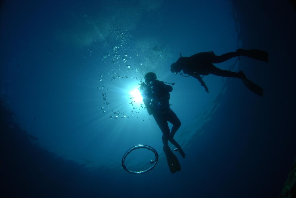 Discovery Dive - 2 Hour Uncertified Diver Introductory Dive - Booking Information