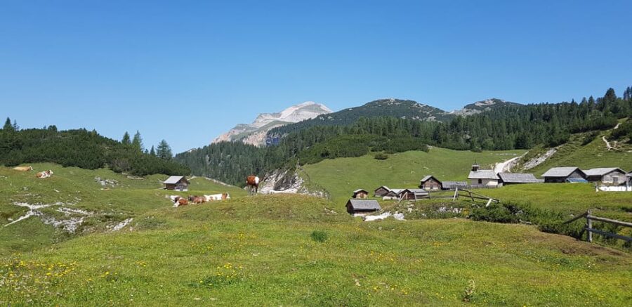Dolomites: Day Excursion in the Heart of the Dolomites