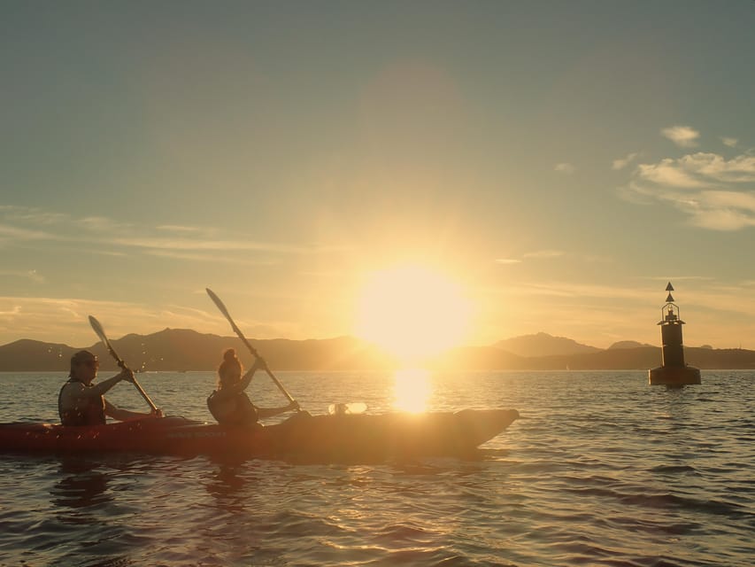 Dolphin Kayak Safari at Sunset at Golfo Aranci