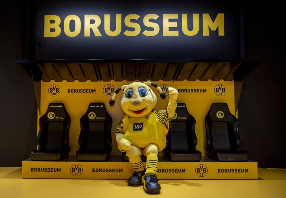 Dortmund: Borussia Dortmund Museum Entry Ticket - Ticket Pricing and Options