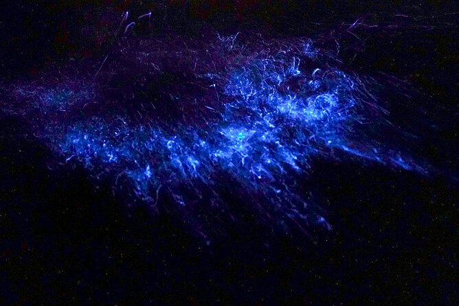 Double Kayak Bioluminescence Tour in Costa Rica