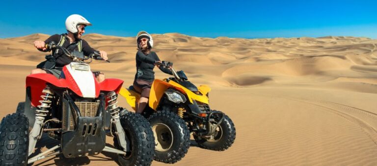 Douz: Desert Safari, Quad Bike, Camel Ride, & Camp Dinner