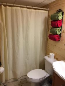 Downtown Gatlinburg Apartment - Property Overview