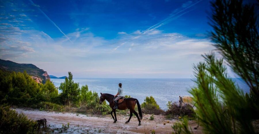 Dubrovnik Kojan Koral: Horseback Riding - Activity Overview