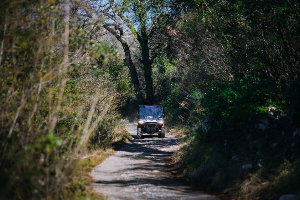 Dubrovnik: Private Panoramic Half-Day Buggy Tour With Brunch - Tour Overview and Pricing