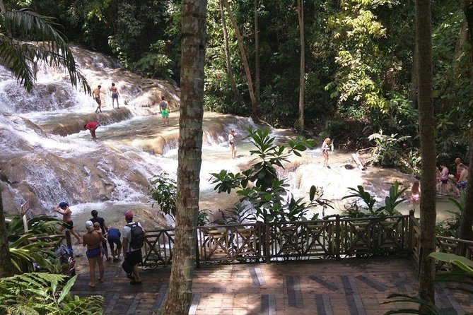 Dunns River Falls and Beach From Ocho Rios Jamaica - Overview of the Excursion