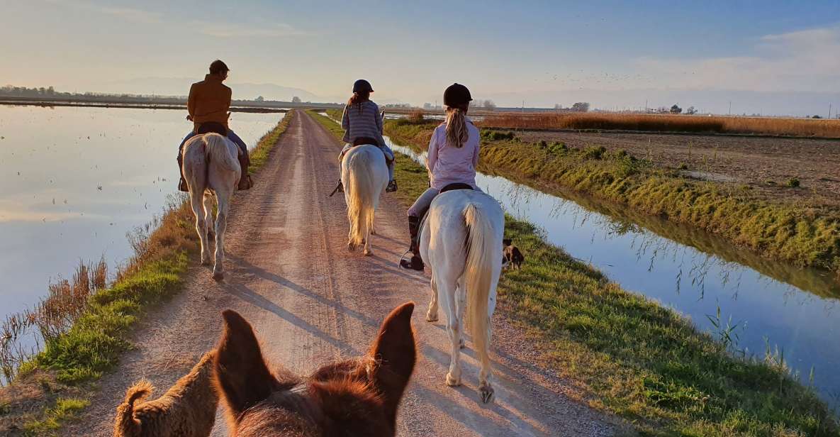 Ebro Delta National Park: Guided Horseback Riding Tour - Tour Overview