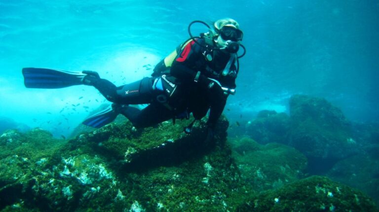 El Hierro: Discover the Sea Snorkeling Experience