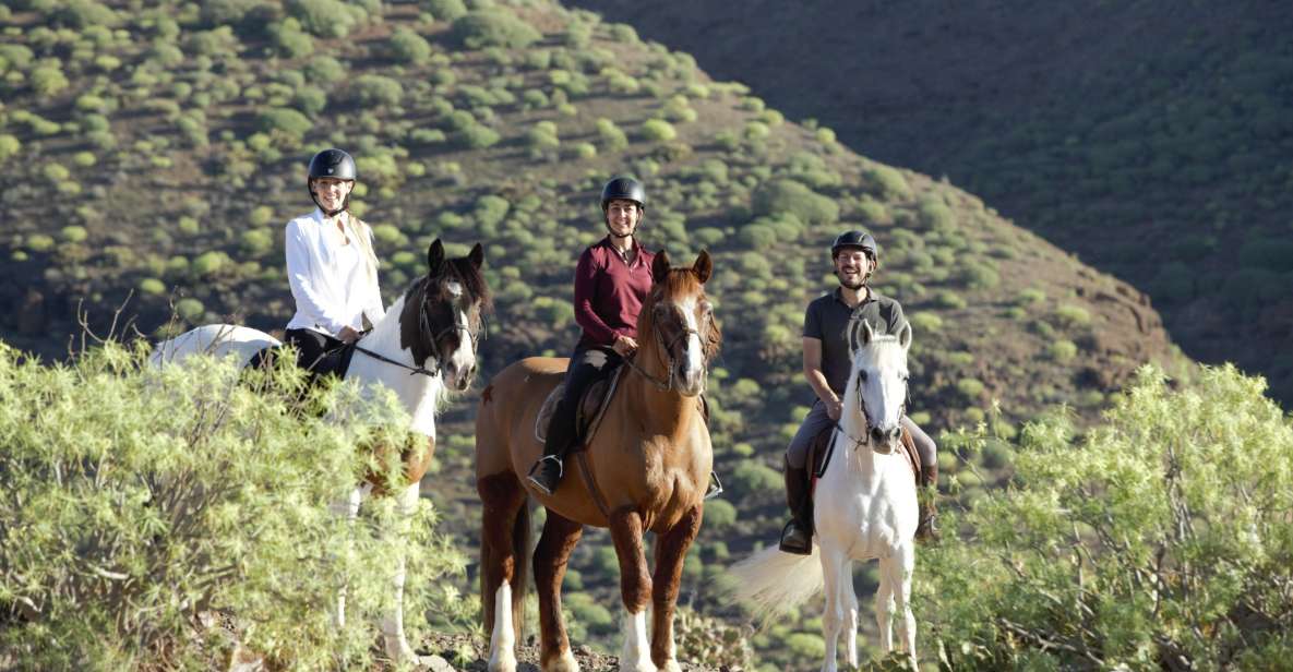 El Salobre: Horse Riding Adventure With Transfer Options - Overview of the Activity