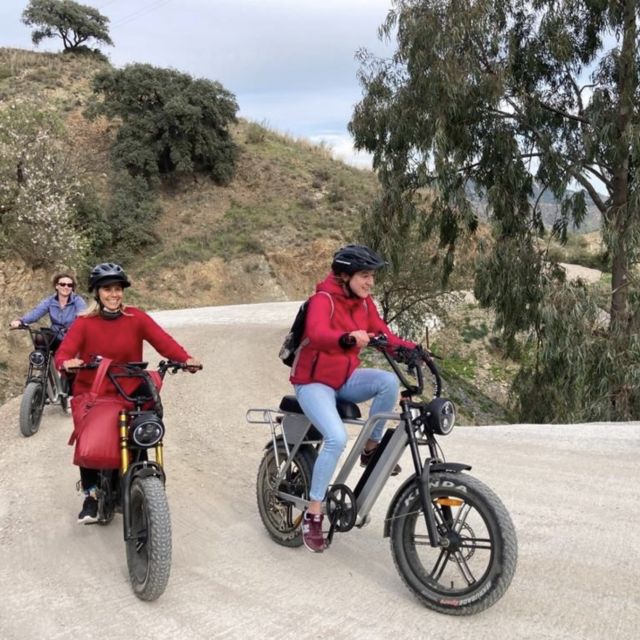 Electric FAT Biking in Montes De Malaga & Countryside - Tour Overview