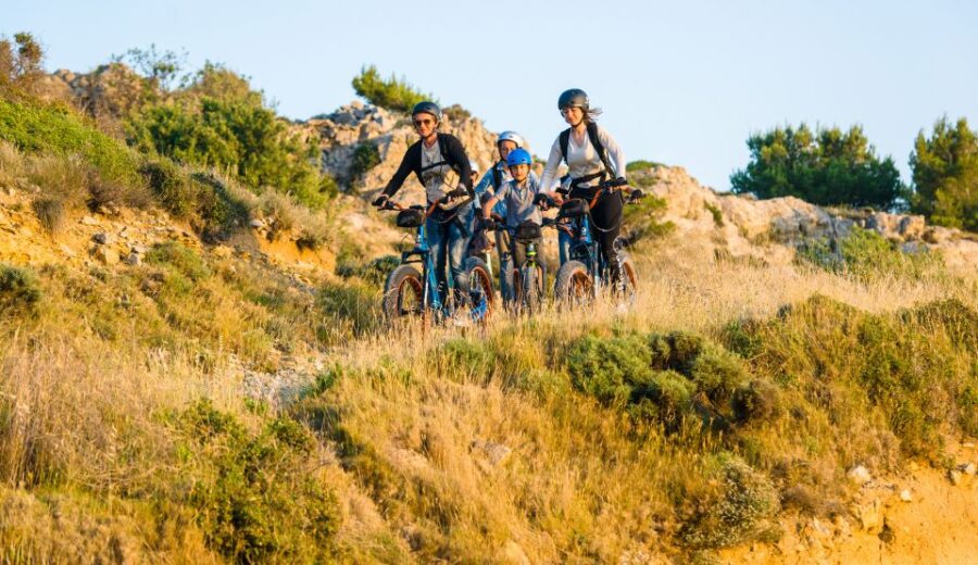 Electric Scooter Tour of Our Vineyard and Wine Tasting - Tour Overview