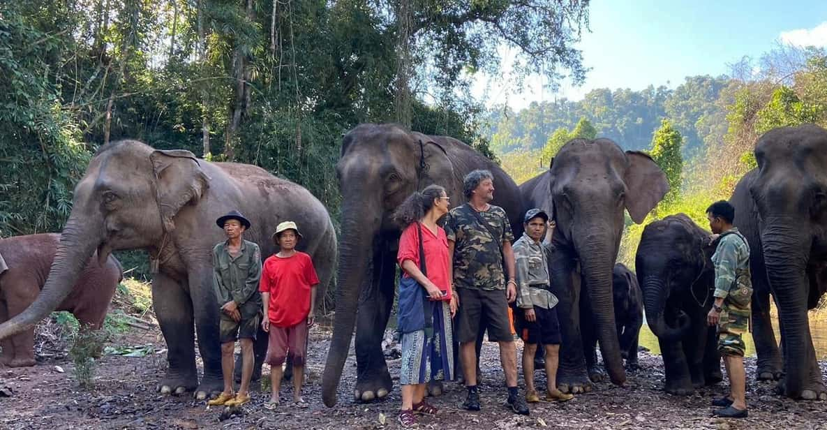 Elephant Home Sanctuary in Muang Thong Sayaboury Laos - Sanctuary Experience Overview