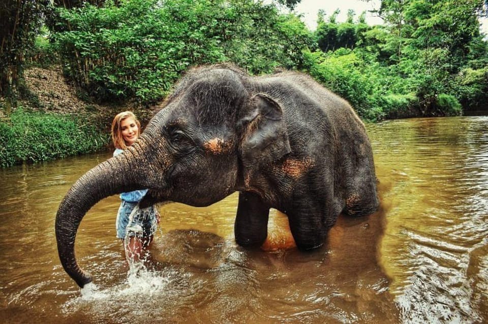 ELEPHANT SANCTUARY GUIDED TOUR WITH WATERFALL HIKE - Tour Overview and Pricing