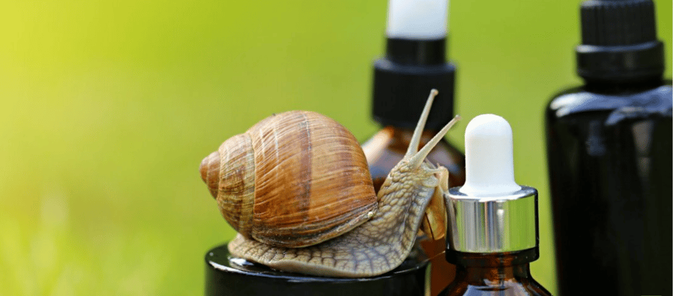 Elice (It): the House of Snails and Beauty Products - Suitability and Dress Code