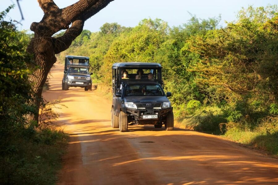 Ella: Transfer to Mirissa/Galle W YALA & UDAWALAWA Safaris