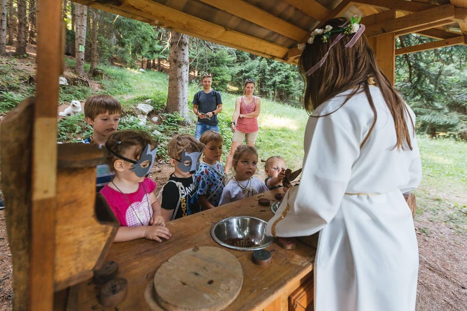 Enchanted Forest Family Avdenture in Lake Bled - Overview of the Adventure