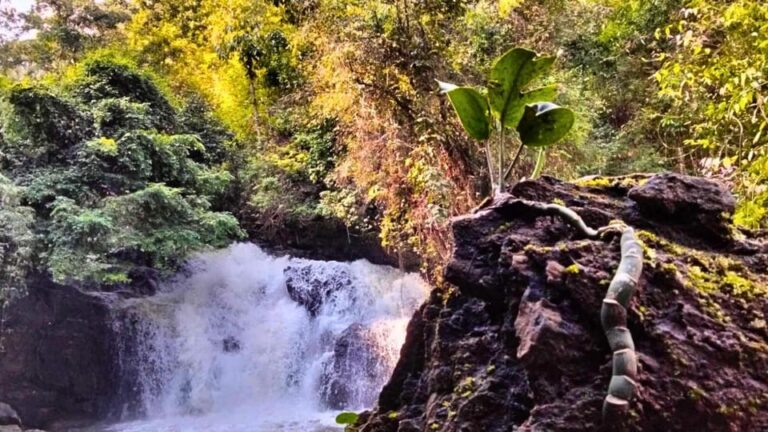 Enchanting Jungle Full-Day Trekking in Chiang Mai