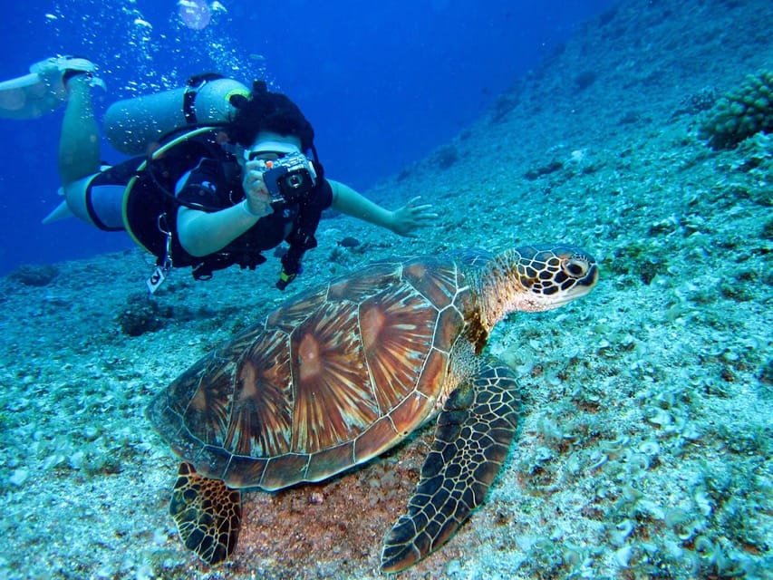 Enhanting 2 Hours Diving in Antalya Any Time of the Day - Overview of the Diving Experience