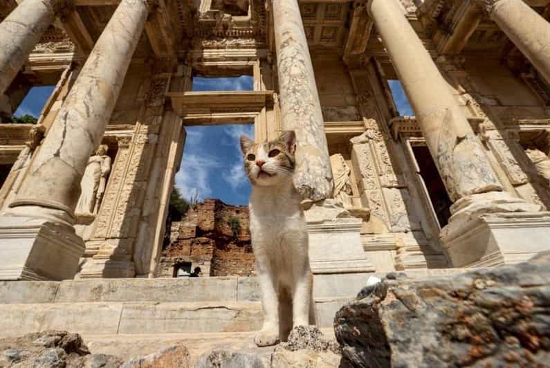 Ephesus Tour W/Istanbul Combination for Cruise Passengers