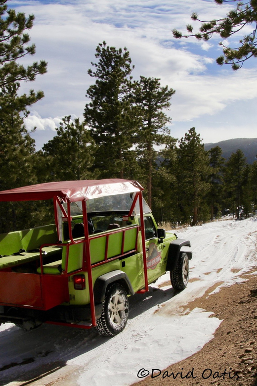 Estes Park: Rocky Mountain National Park Safari Tour - Tour Overview