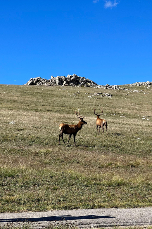 Estes Park: Rocky Mountains Trail Ridge Panoramic Bus Tour - Tour Overview