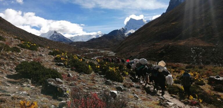 Everest Base Camp Comfort Trek – 18 Days