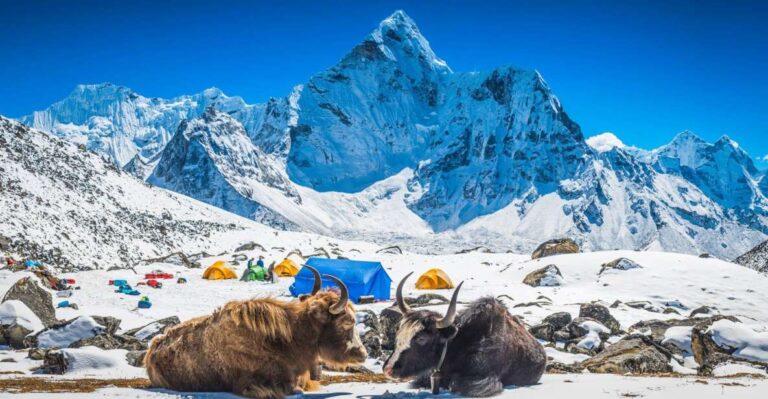 Everest Base Camp Trek: Conquer Worlds Highest Base Camp