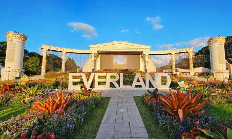 Everland Theme Park : Private Transfer(Up to 12passengers)