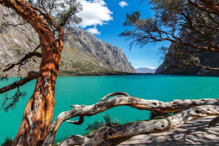 Exciting Trip to the Chinancocha Lagoon