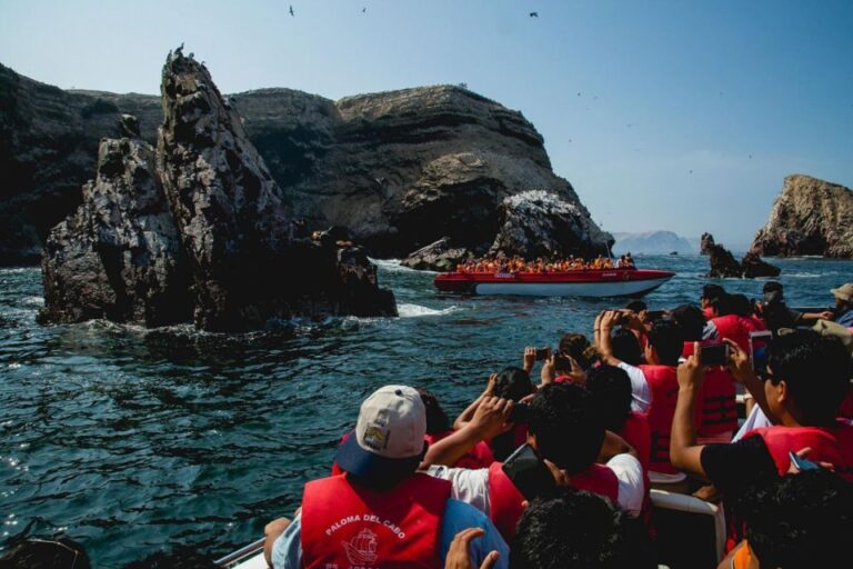 Excursion to Ballestas Islands and Paracas National Reserve