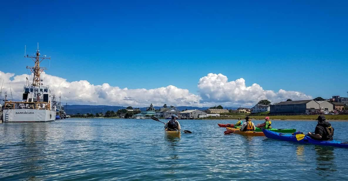 Explore Humboldt Bay by Kayak - Experience Highlights