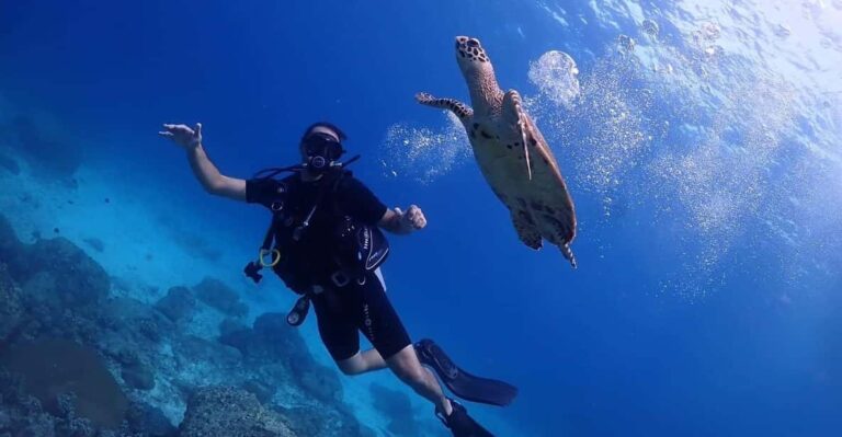 Explore Scuba Diving at Racha Yai Island From Phuket