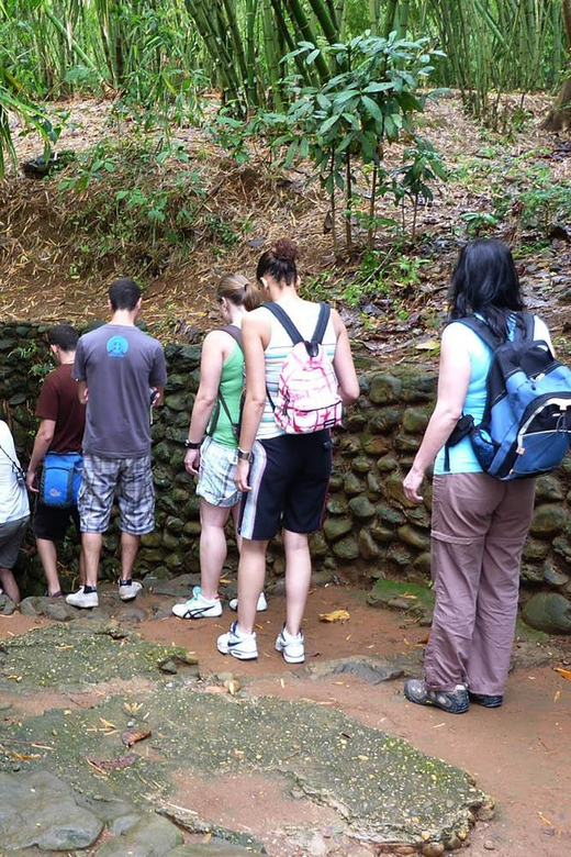 Explore the Ingenuity of the Cu Chi Tunnel Network - Historical Significance of Cu Chi Tunnels