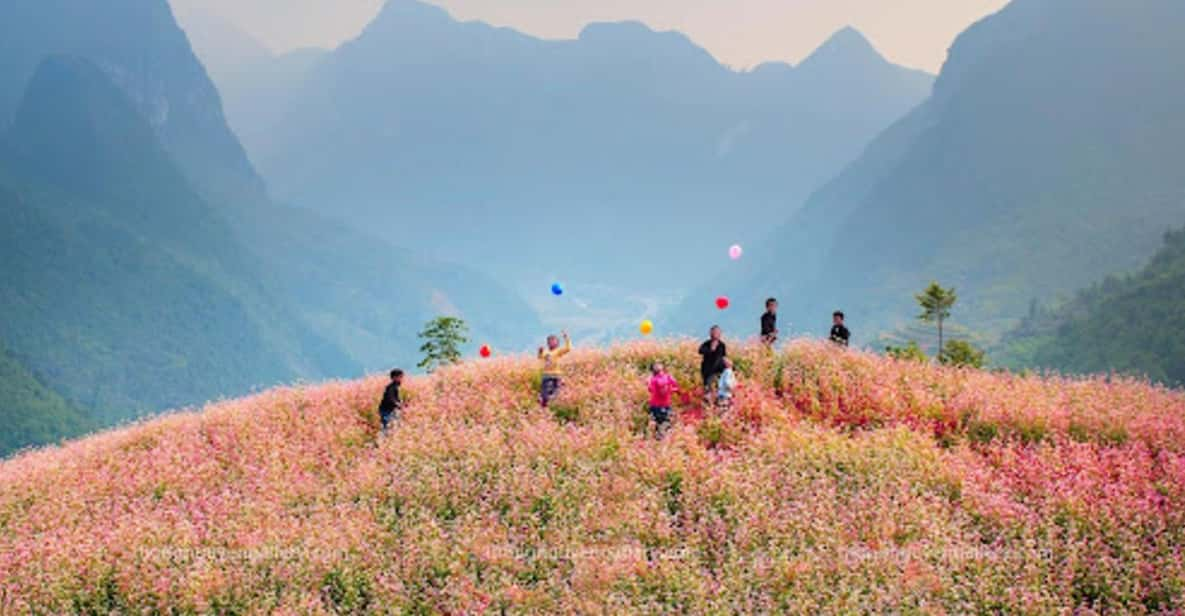 Explore the Majestic Ha Giang With Direct Bus From Ha Noi - Direct Bus Service Overview