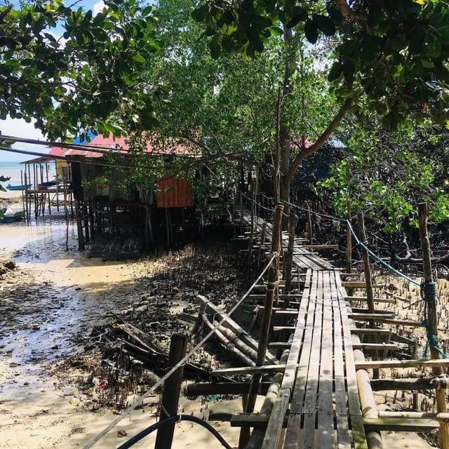 Explore the Mangroves and Coral Reefs of Malaysia - Overview of the Tour