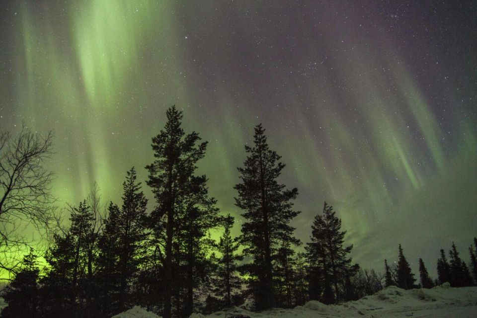 Exploring the Northern Lights by Car - Overview of Aurora Hunting Tours