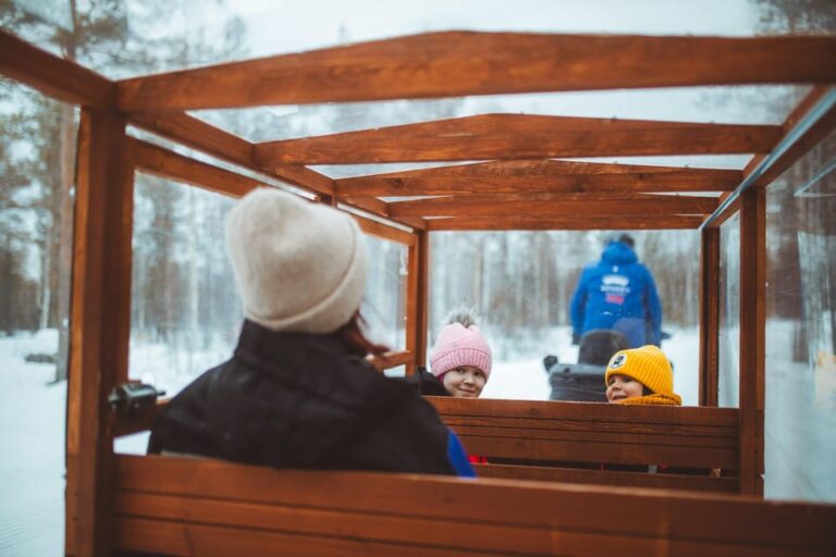 Family Snowmobiling