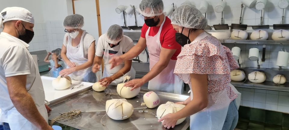 Ferreries: Cheesemaking and Farm-Fresh Product Tasting - Overview of the Guided Farm Tour