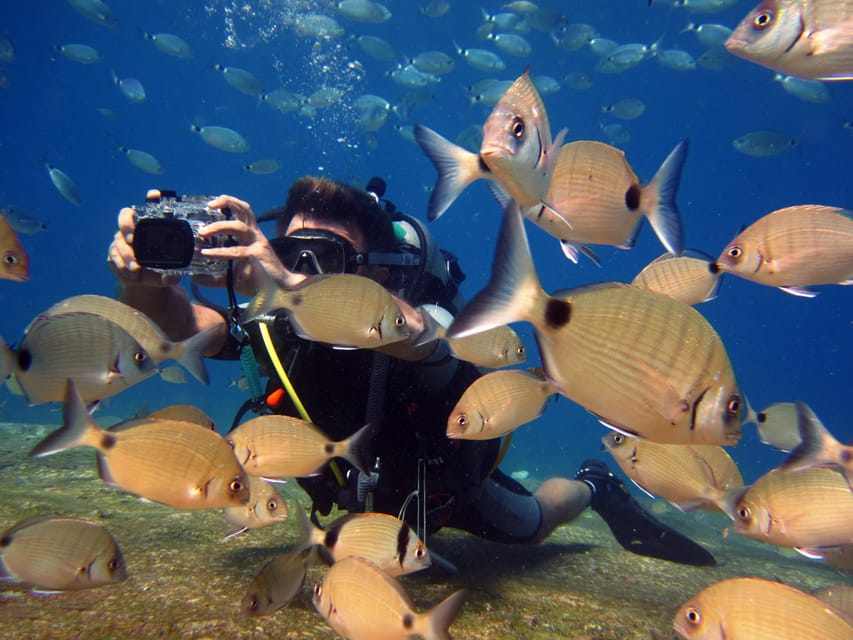 Fethiye: Ölüdeniz Scuba Diving Tour - Highlights of the Experience