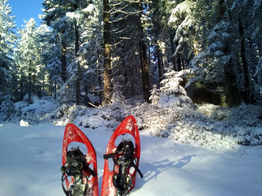 Fichtel Mountains: Snowshoe Hike - Overview of the Activity