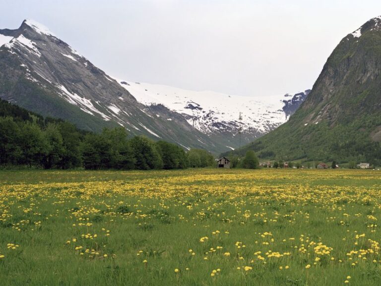 Fjords: Private Trip With Train and Cruise Ride