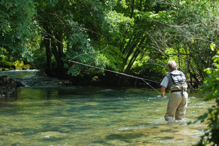 Foncine-le-Bas: Full-Day Fly Fishing Course in the Jura