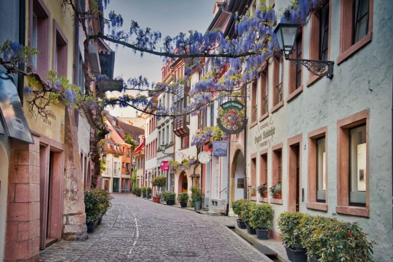 Freiburg: Alleys, Streams and More City Tour